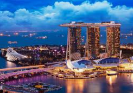 摇钱树捕鱼下载最新版